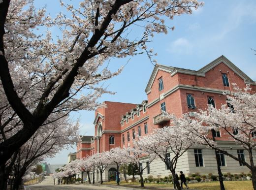 벚꽃 명소