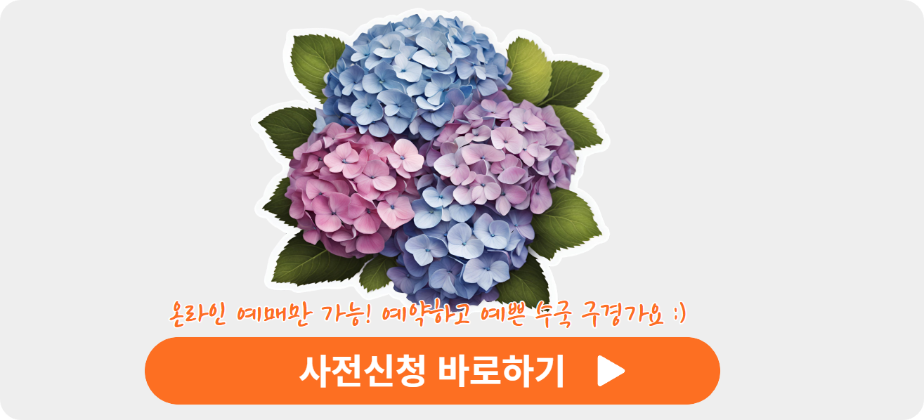 수국 사전신청 이미지