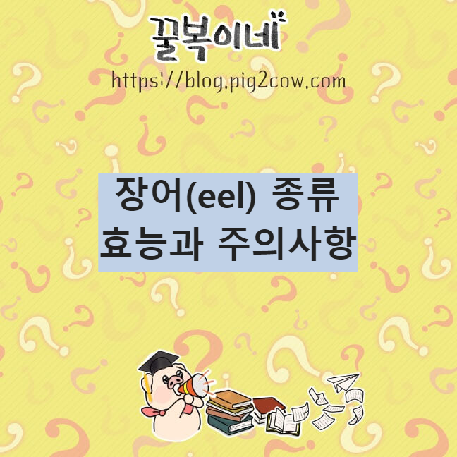 생활정보