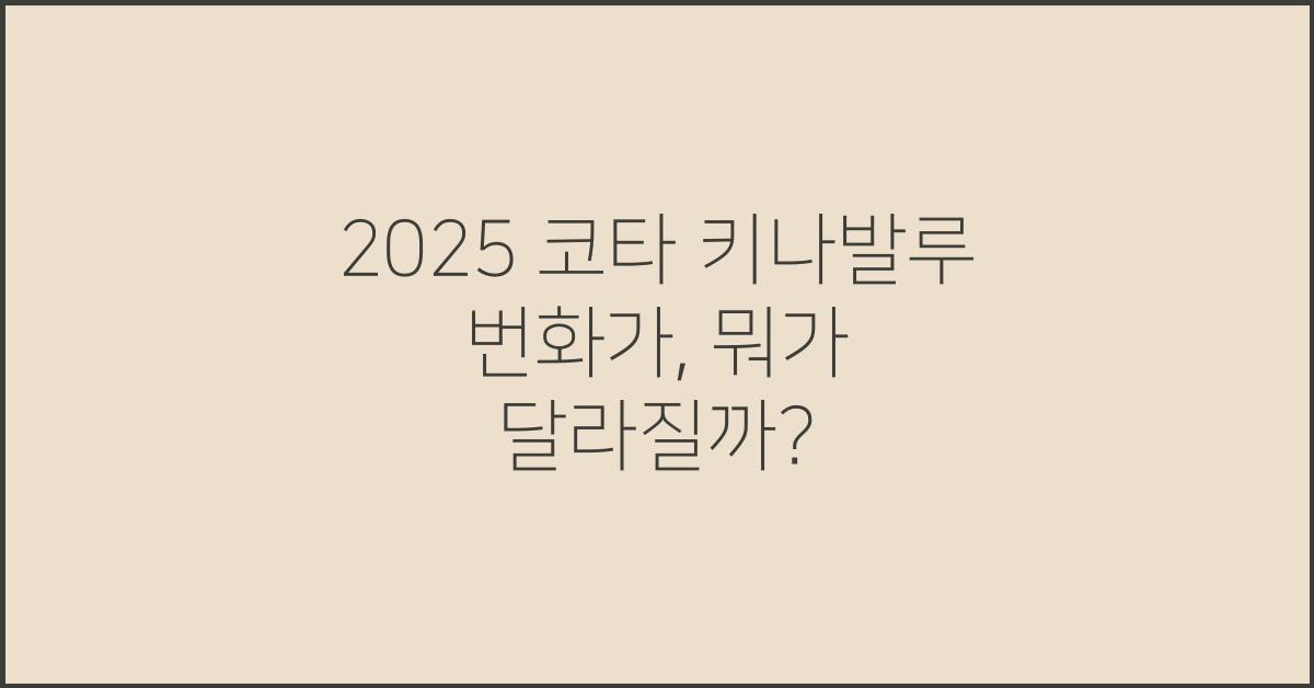 2025 코타 키나발루 번화가