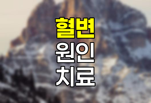 혈변 원인 및 치료 방법 - 증상별 진단과 대처법