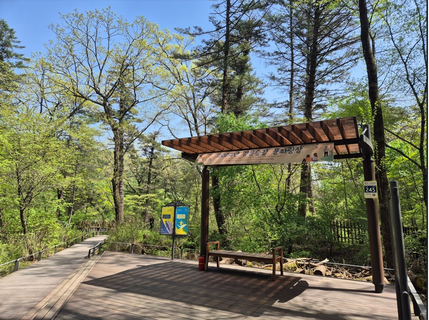 광릉숲 정원벨트 전면 개방