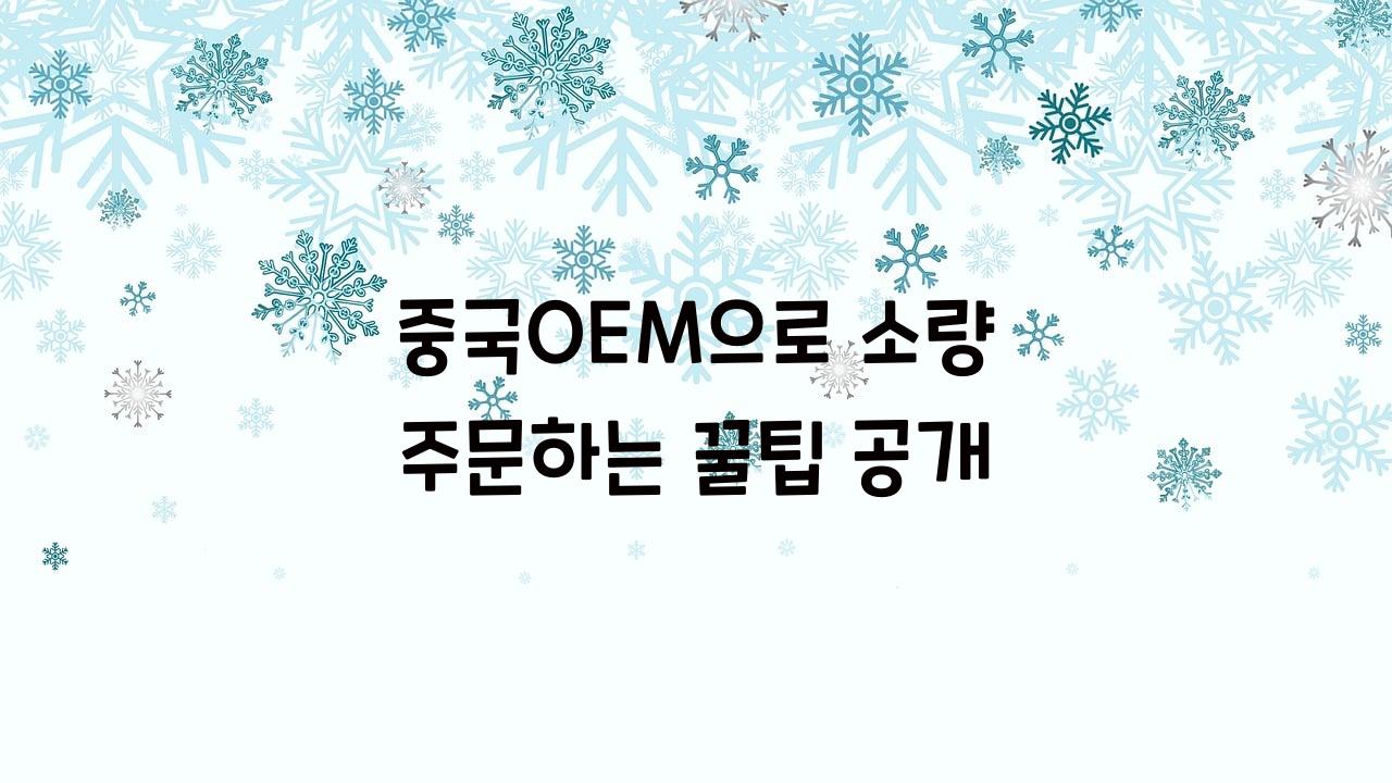 중국OEM