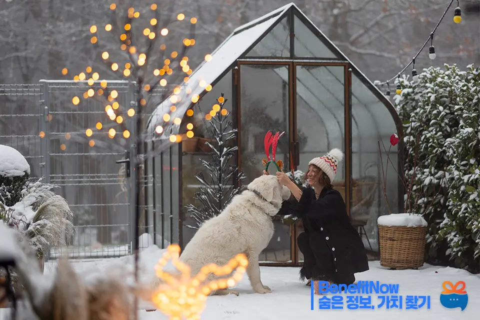 에너지 바우처 신청방법