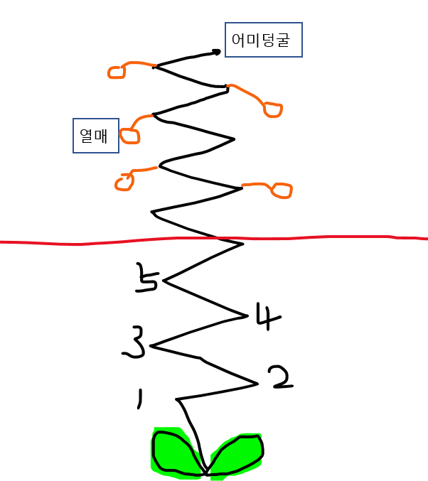 순지르기