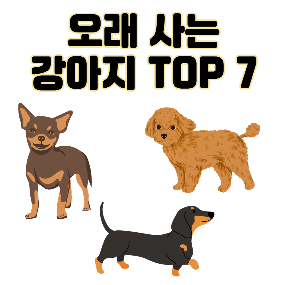 오래 사는 강아지 품종 TOP 7과 장수 비결