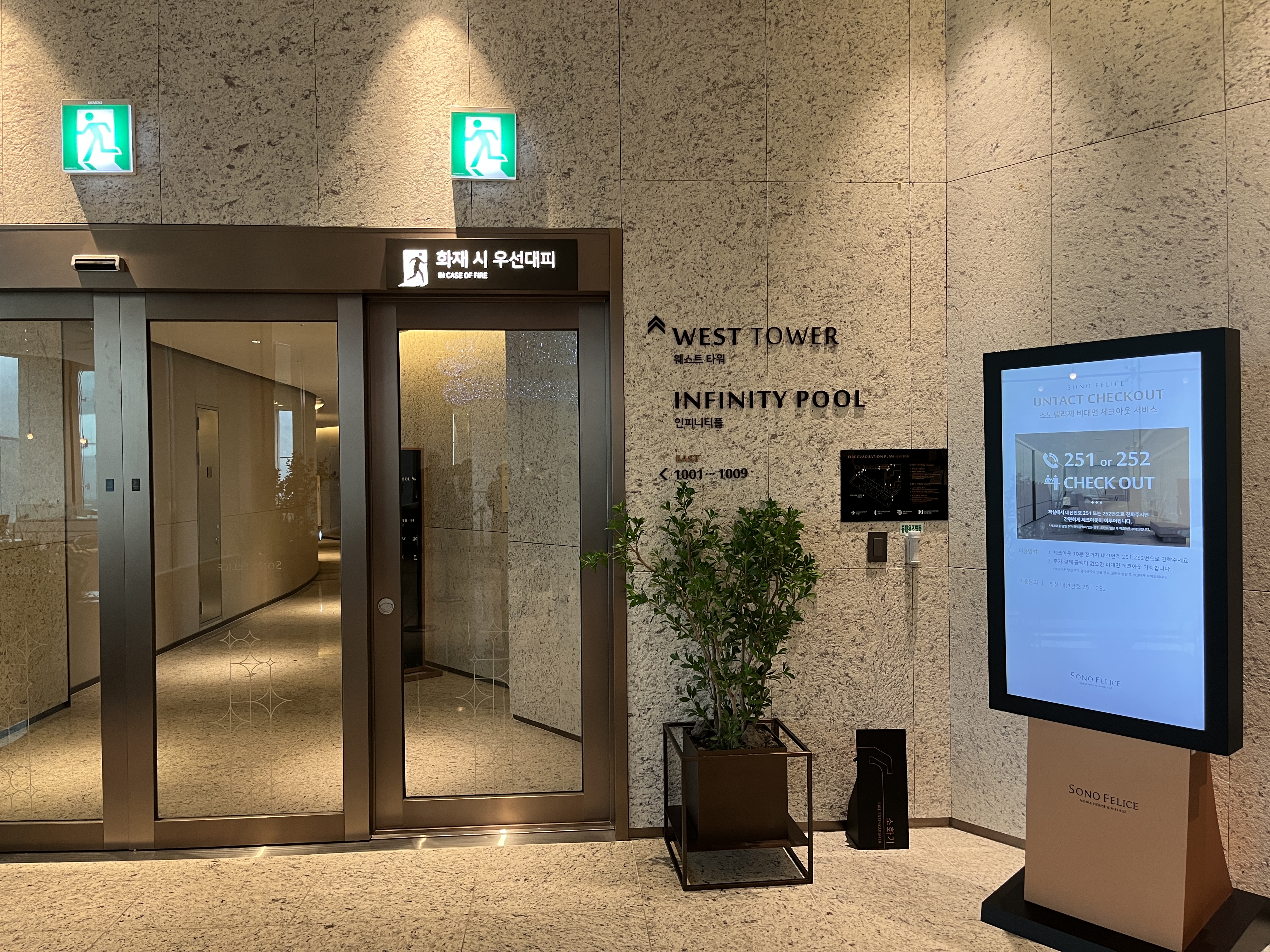 소노펠리체-델피노-인피니티풀-수영장-