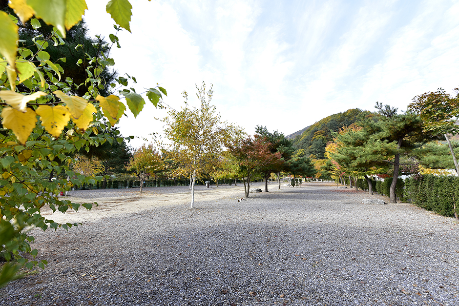 솔바람 캠핑장