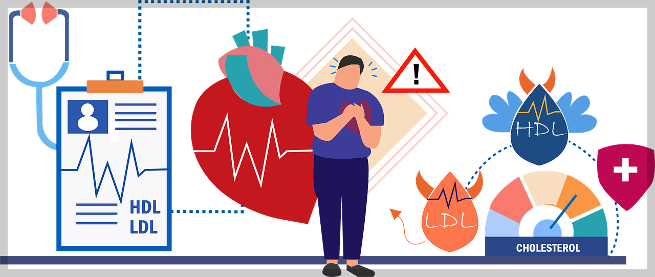 HDL 콜레스테롤 이란