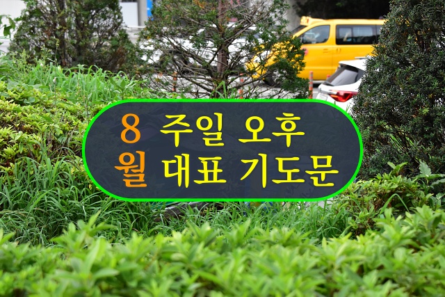 8월 주일 오후 대표 기도문