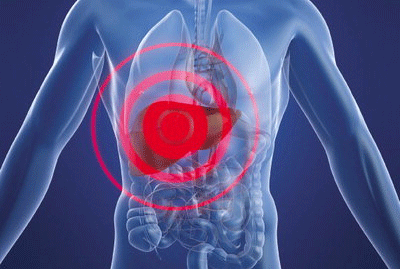 간 건강에 좋은 차 종류 음식 식품 16가지