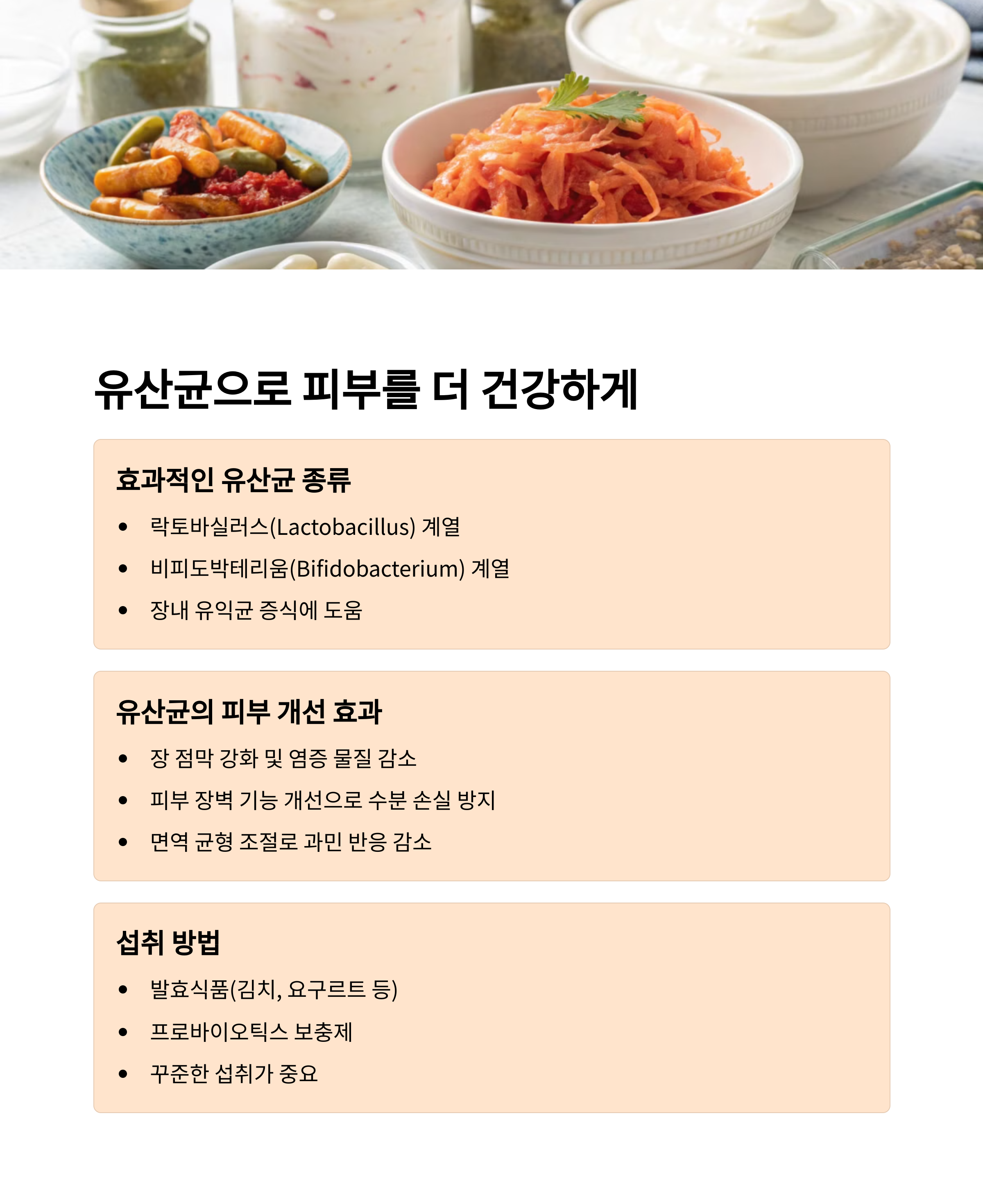 피부 건강은 장에서 시작된다는 메시지와 함께 장내 미생물 불균형, 염증, 장-피부 축에 대한 설명 포함