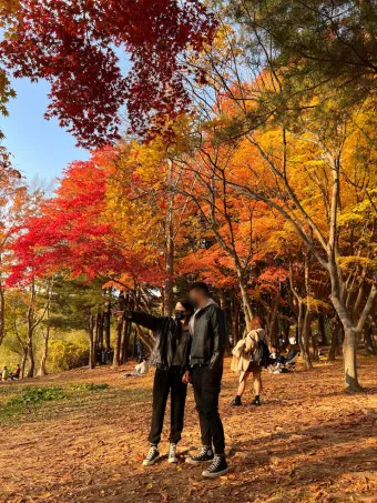 단풍구경 전국 명산 50대 이상 안전한 등산로 추천_42