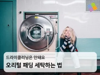 드라이클리닝 표기 확인 집에서 관리와 세탁망 활용법_17