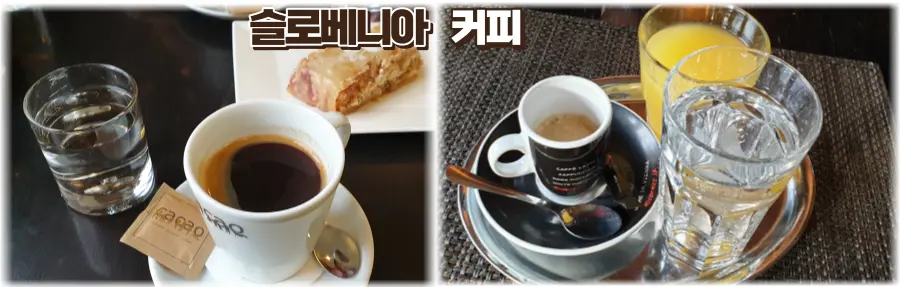 슬로베니아 커피 주문시 물 제공