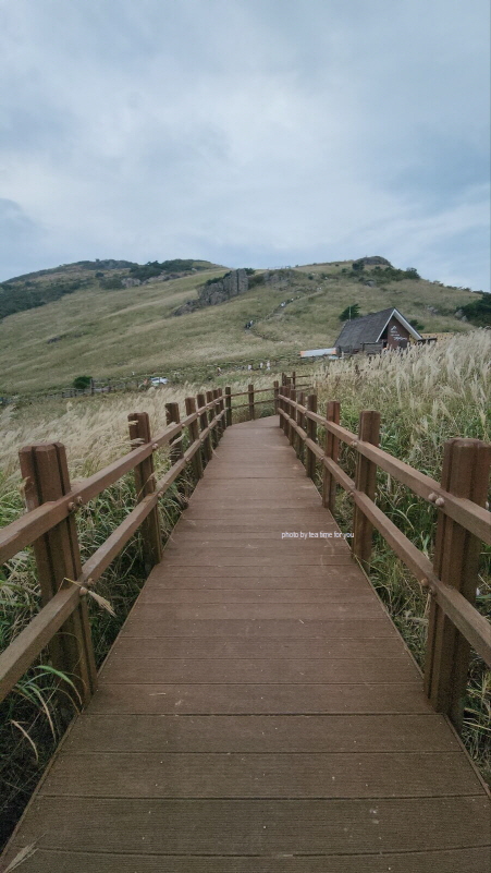 영남알프스-신불산-간월재-억새축제-억새산행-포토존
