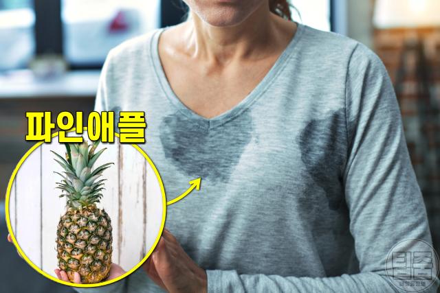 겨드랑이 땀냄새 제거 음식 파인애플,팁줌