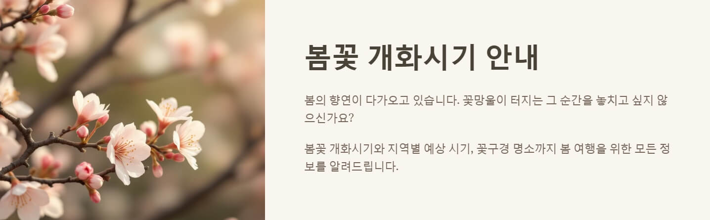 봄꽃 개화시기 피는 날짜