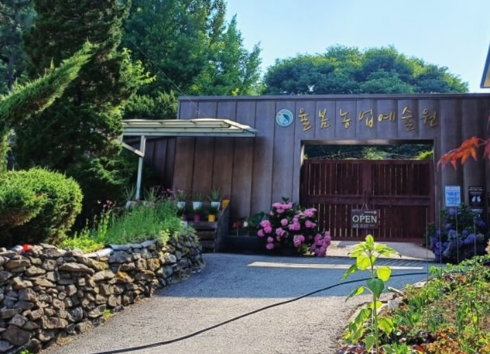 2024년 7월 여름 전국 수국 축제 일정