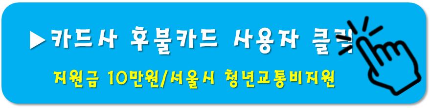카드사-후불카드-서울시청년교통비지원