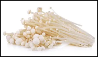 팽이버섯 효능_23