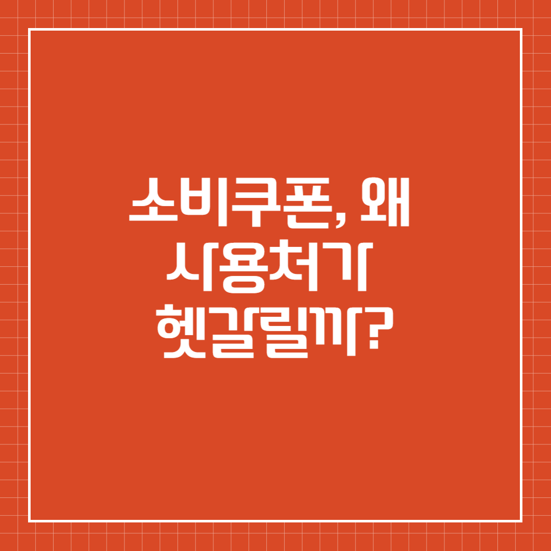 소비쿠폰, 왜 사용처가 헷갈릴까?