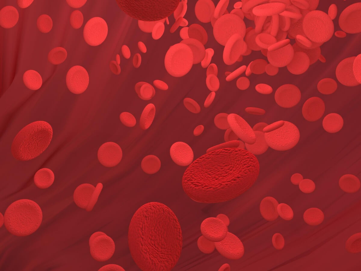 적혈구-속에-있는-헤모글로빈