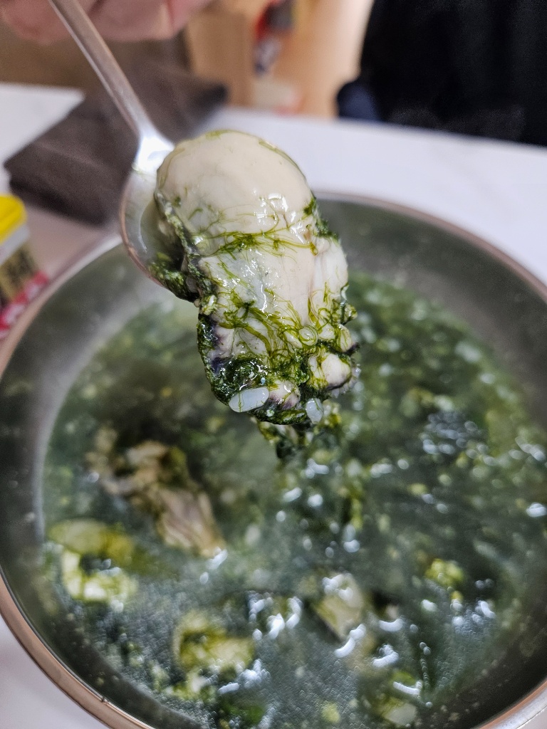 소금물에 세척되어 윤기가 흐르는 신선한 굴의 모습