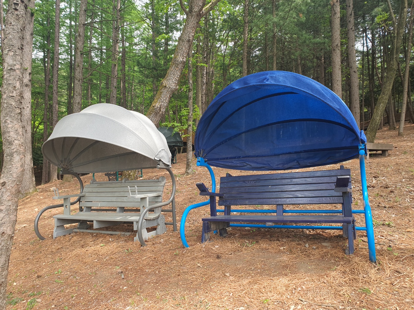 봉래산산림욕장