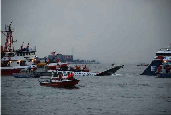 버드스트라이크 - 항공기 사고의 원인