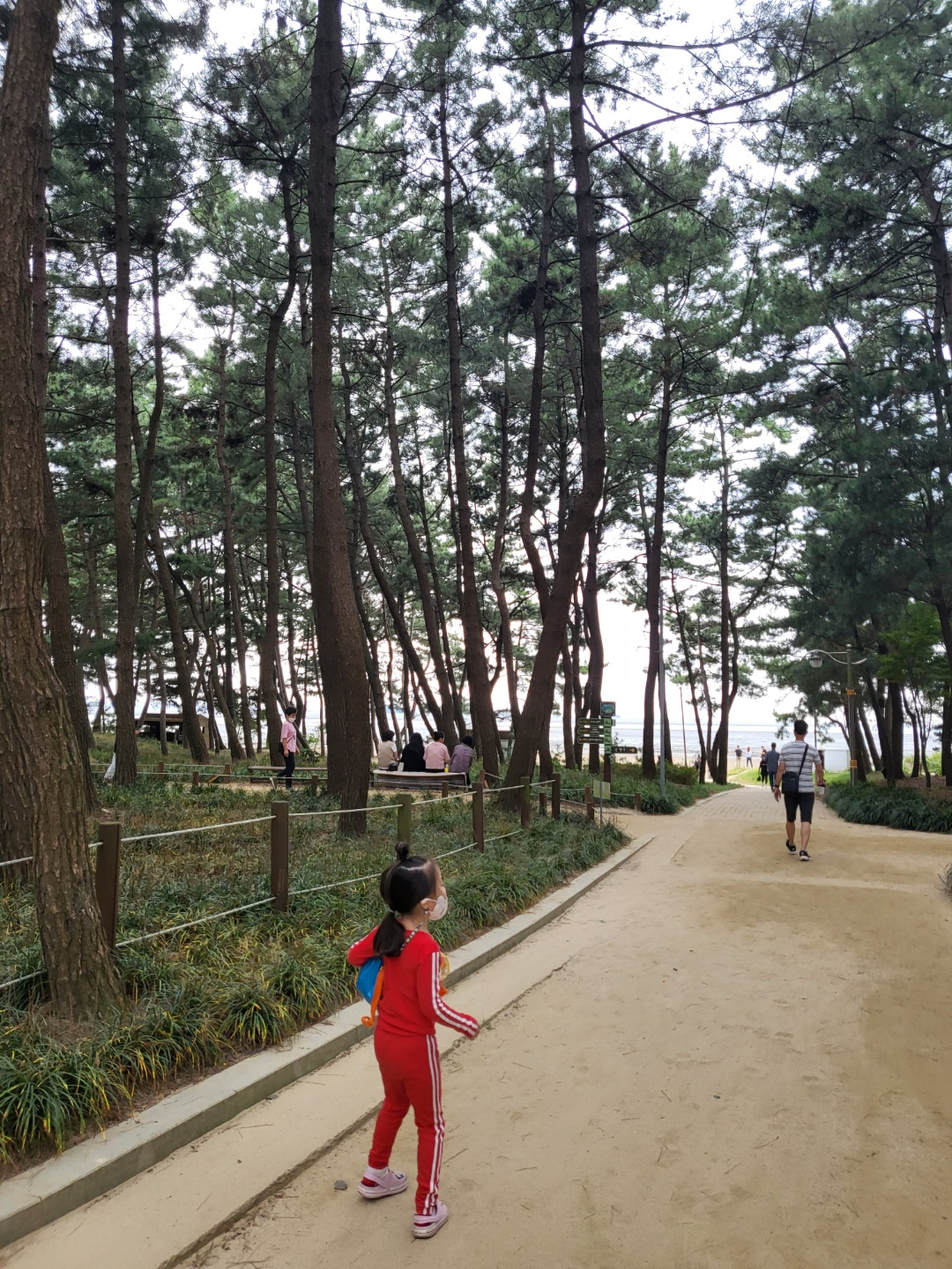 서천 갯벌체험, 모시조개 캐기 (서천송림갯벌체험장)