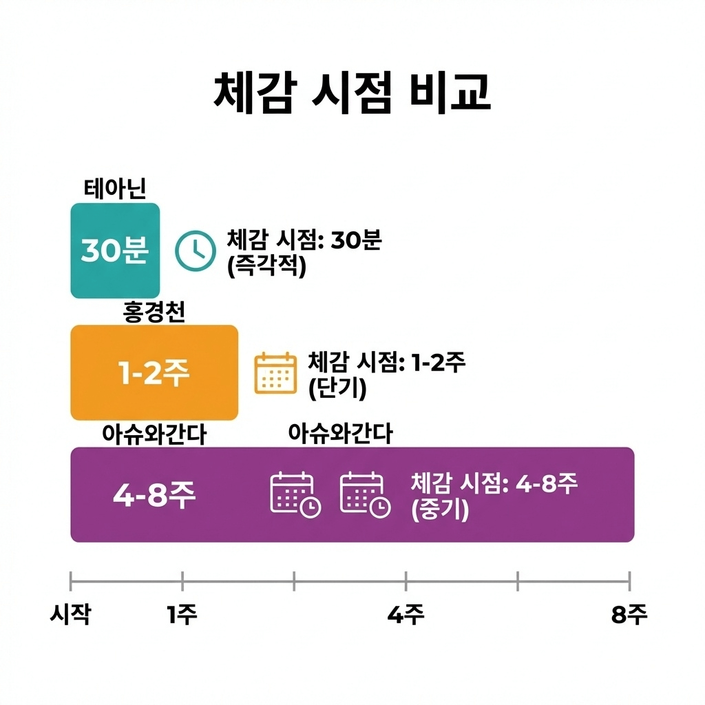 스트레스 성분 세 종류 체감 시점과 지속 시간 비교 인포그래픽