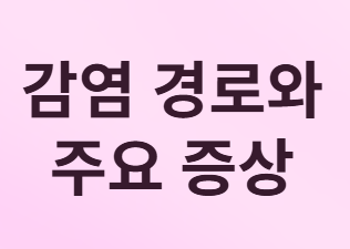 겨울철 노로바이러스 감염증, 올바른 예방과 대처법