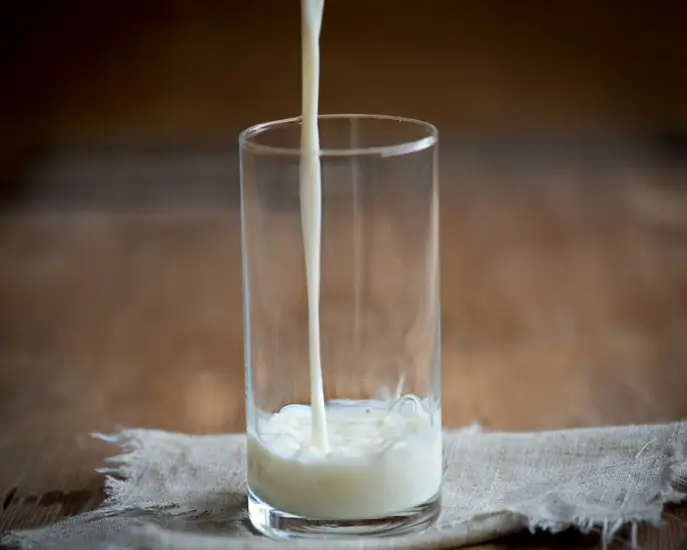 방귀가 많이 나오는 음식