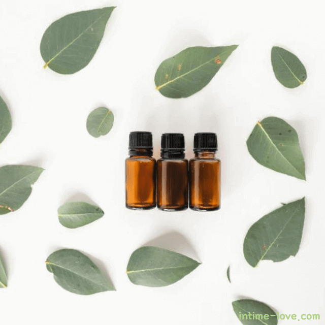 유칼립투스 오일 사용법