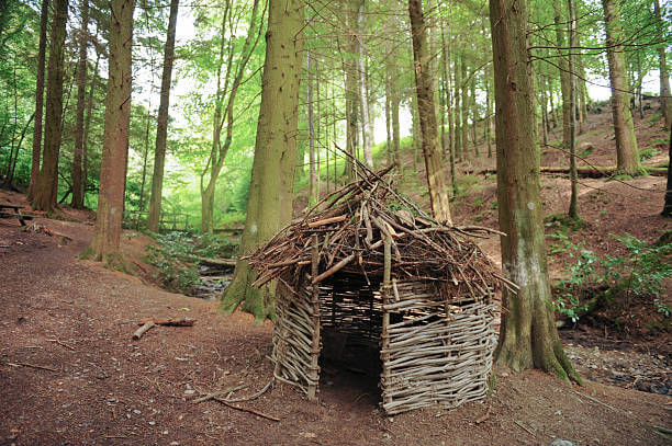 자연재 햇빛 반사판으로 대피소 내부 밝게 유지하는 법
