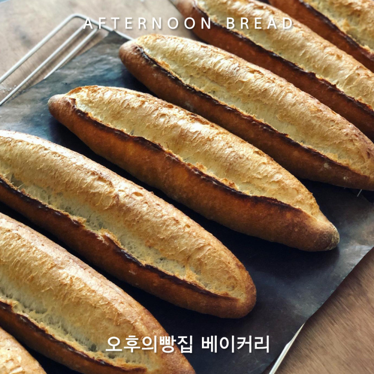 생활의달인 광진구 캉파뉴 달인 맛집 위치 및 정보(강변역 캄파뉴 달인 맛집)