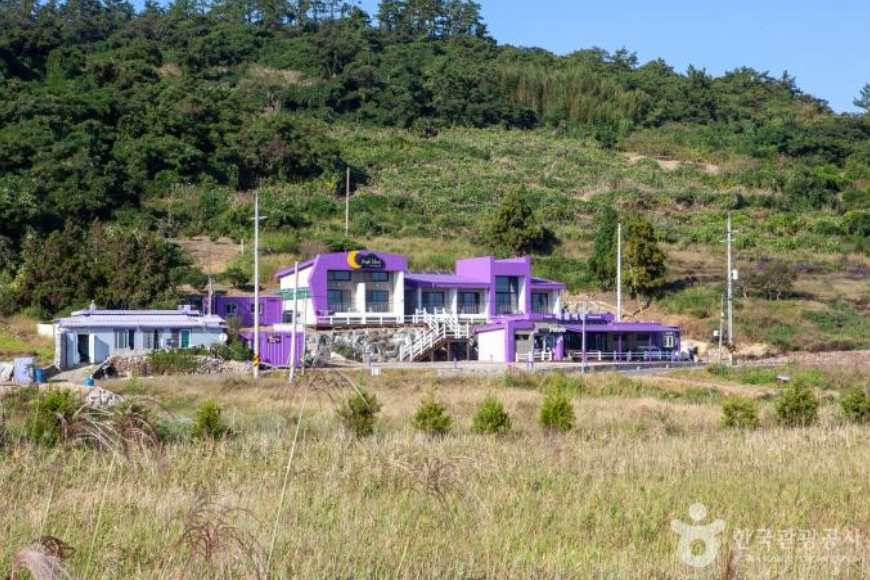 생생정보 보라마을