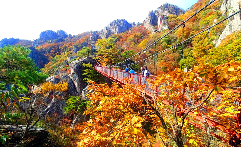 대둔산