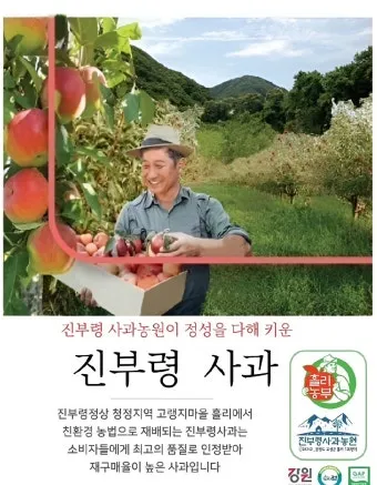 피망 재배 파종 시기 지주 설치 통풍 확보 병해 예방_6