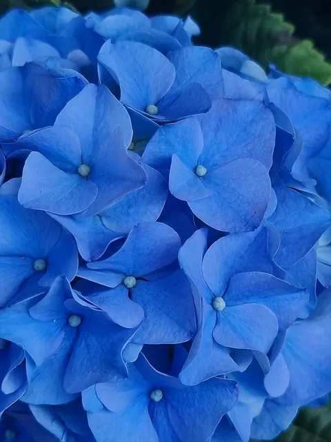 봄 이미지 일러스트 따뜻한 봄 꽃 예쁜 이미지_7