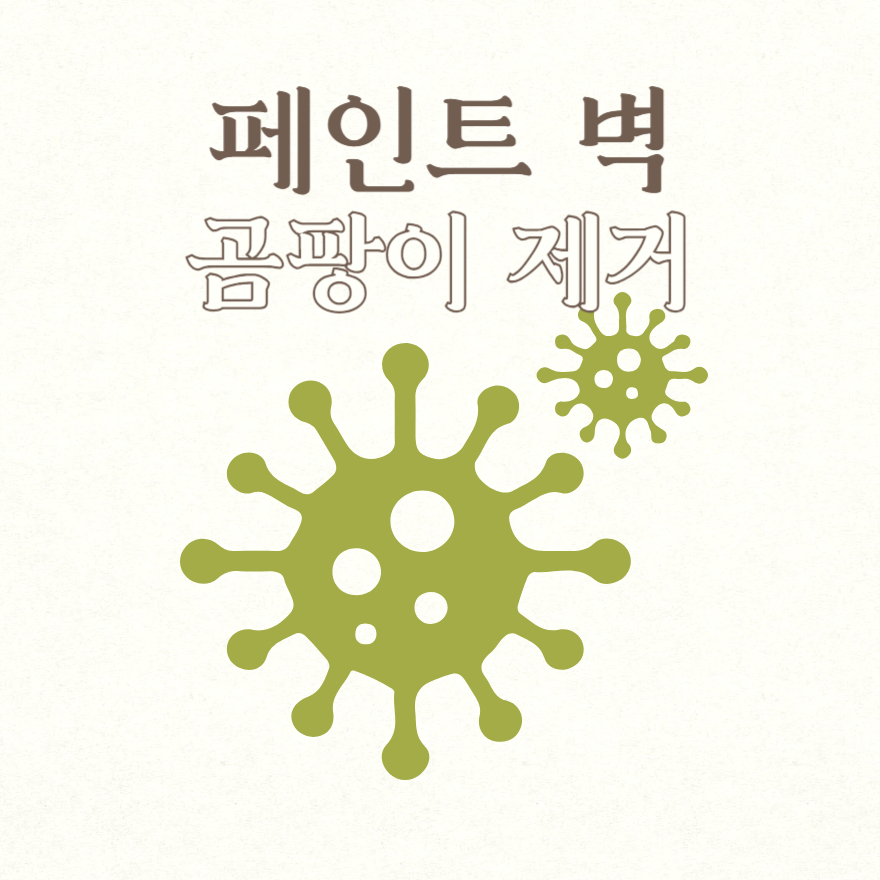 페인트 벽 곰팡이 제거