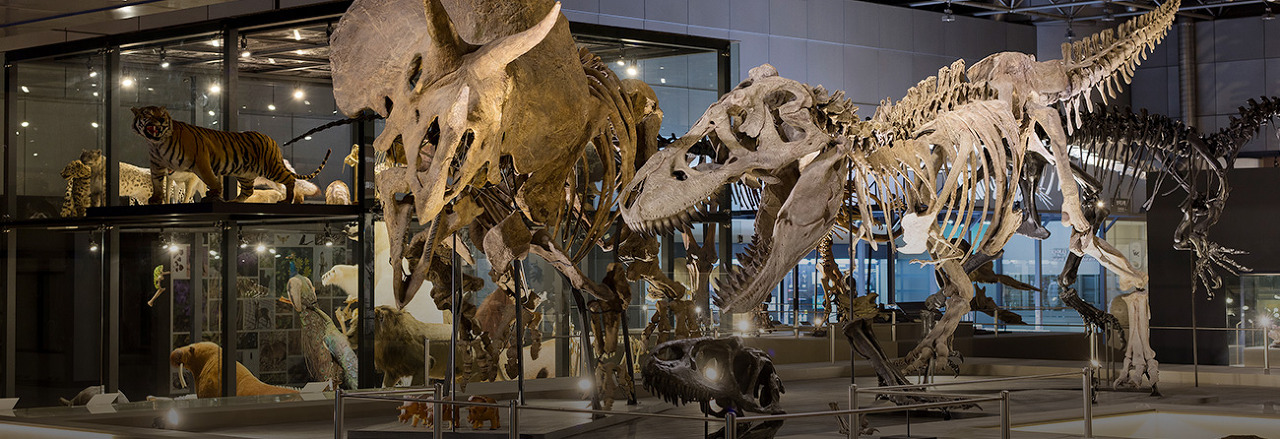 국립중앙과학관