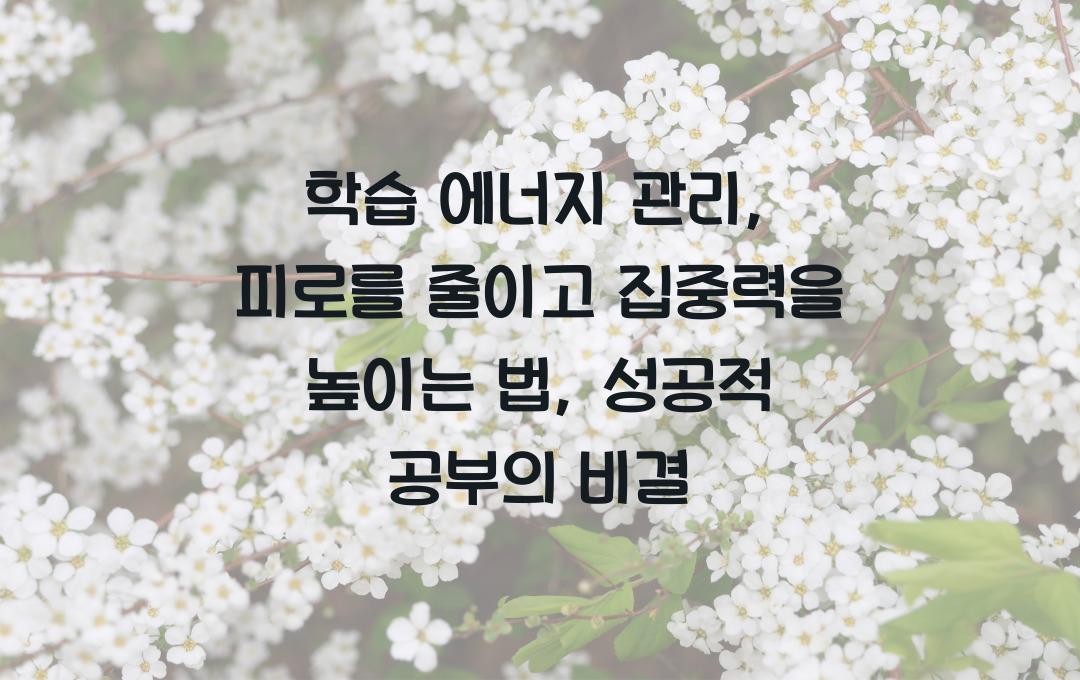 학습 에너지 관리: 피로를 줄이고 집중력을 높이는 법