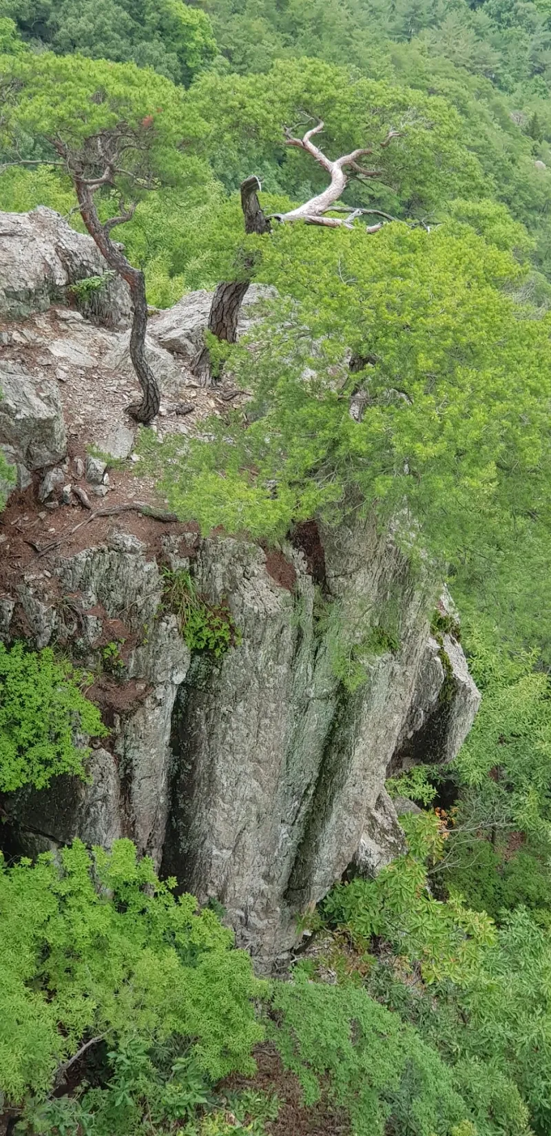 청도 복호산