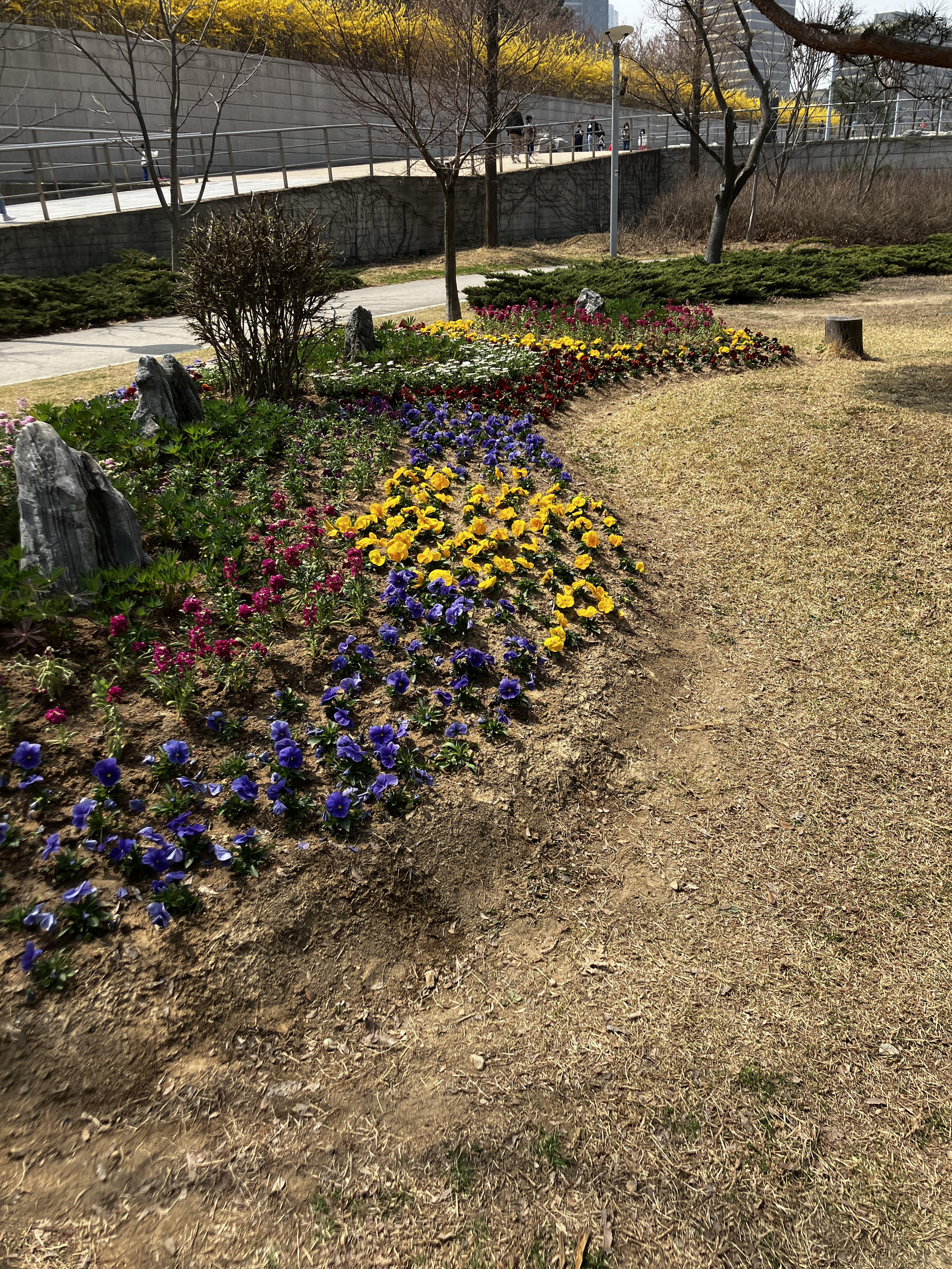 송도 센트럴파크 공원 