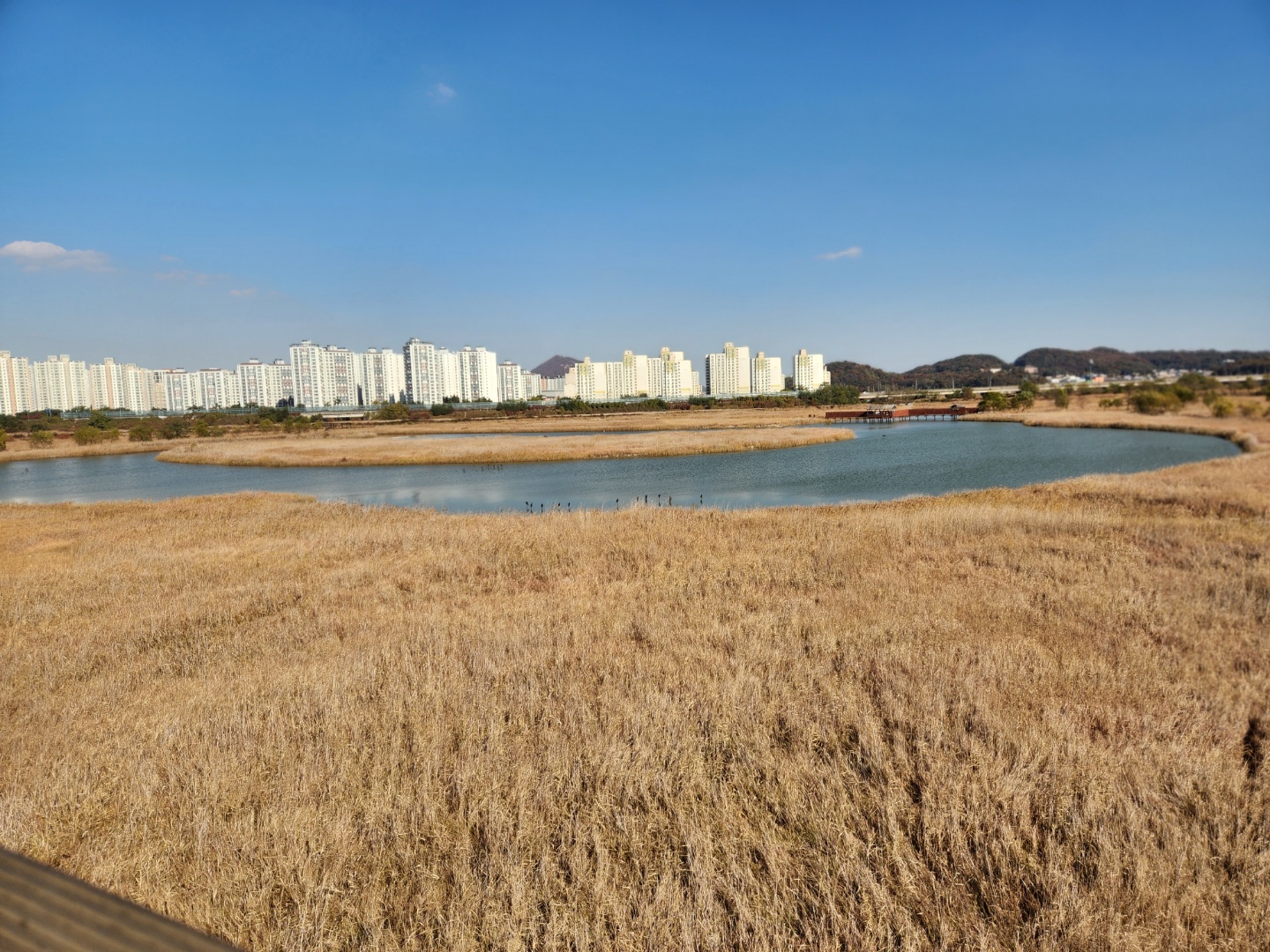 소래습지 생태공원 풍경