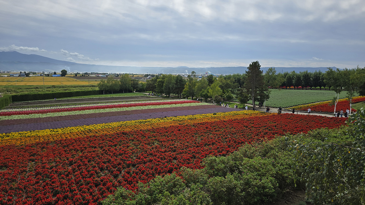 팜토미타 전망대 경치