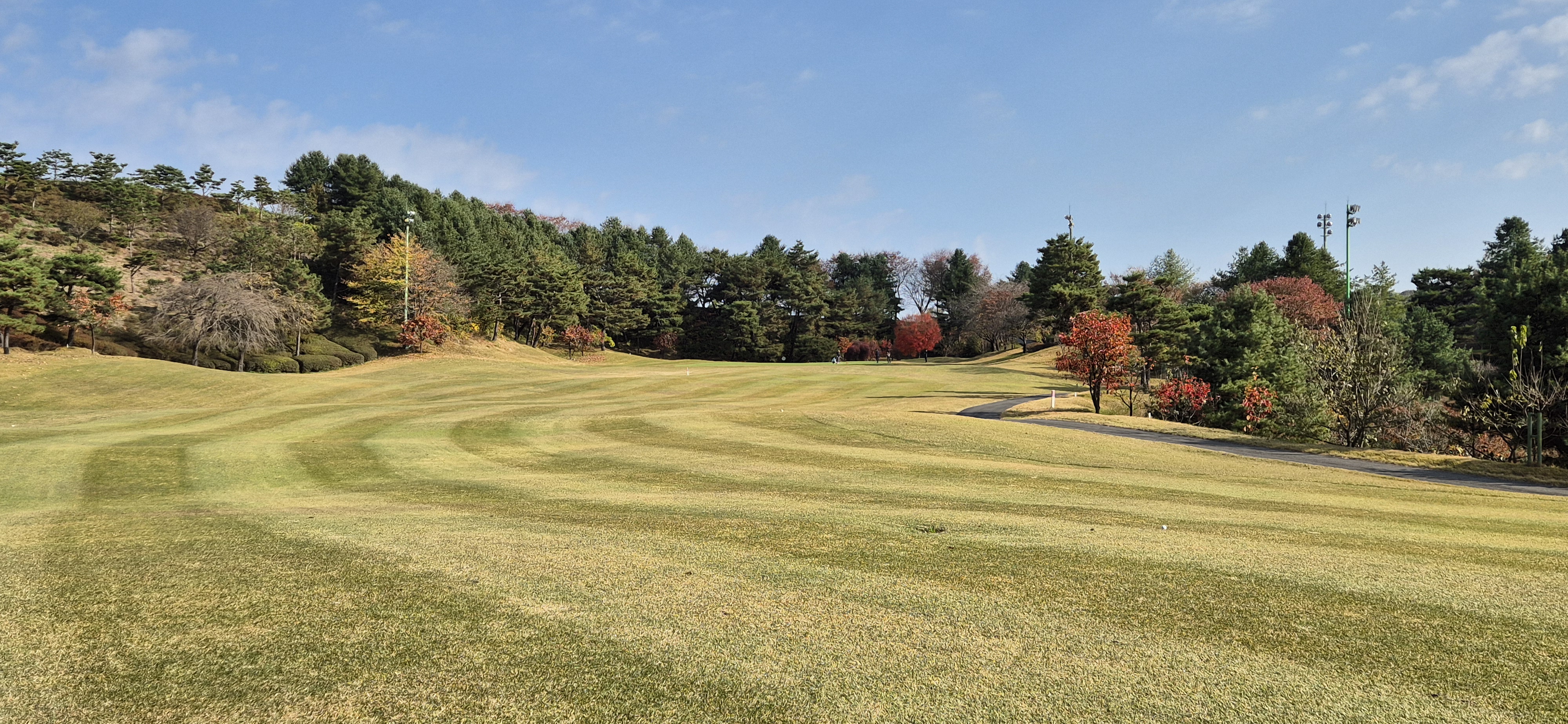시그너스cc 라미코스 사진 및 공략 정보