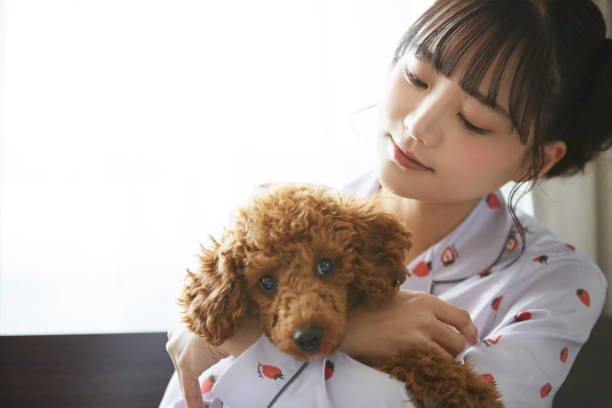 내 라이프스타일과 반려동물, 잘 맞을까?